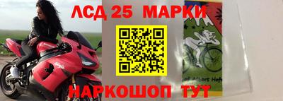 mdpv Краснодар