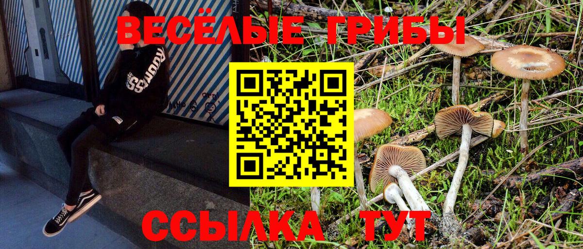 Галлюциногенные грибы мухоморы Красноармейск