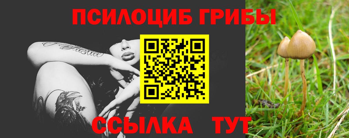 Галлюциногенные грибы мухоморы  Вход с VPN  Красноармейск  Галлюциногенные грибы мухоморы 